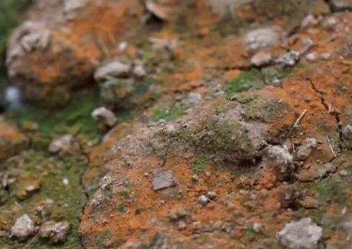 1648018340143040.png 1648018239(1).png