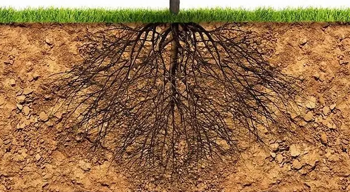 1653361545873782.png 1653361545873782.png