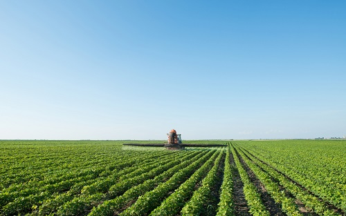 1655089382110439.png image.png