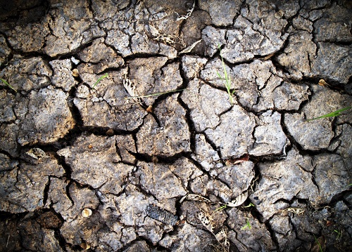 1655347176202007.png image.png