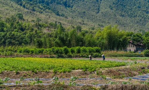 1661915952111937.png image.png