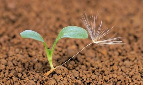 1670479688383933.png image.png