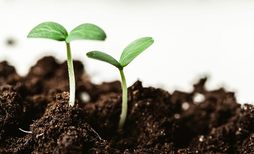 1676267743167933.png image.png