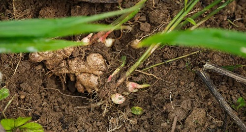 1677051625194451.png image.png