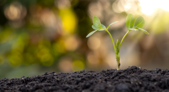 1682302803861999.png 土壤緊實(shí)度儀